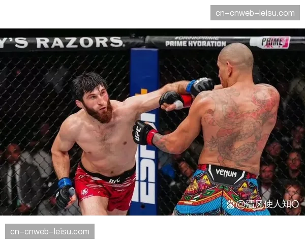 UFC冠军战速报：佩雷拉五回合一致判定战胜安卡拉耶夫，成功卫冕轻重量级冠军