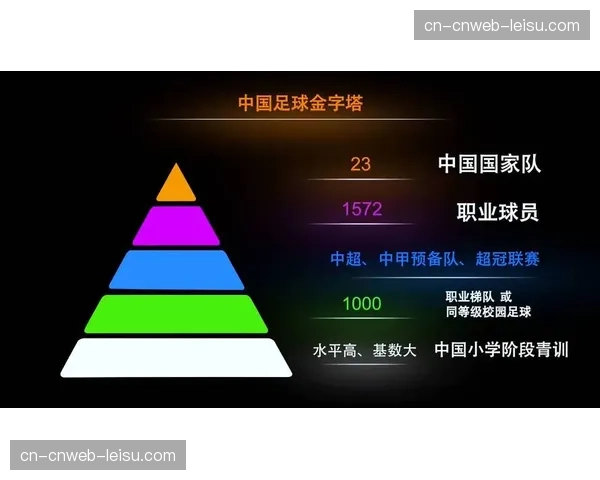德国足球职业联盟发布年度社会责任报告，青训投入再创新高